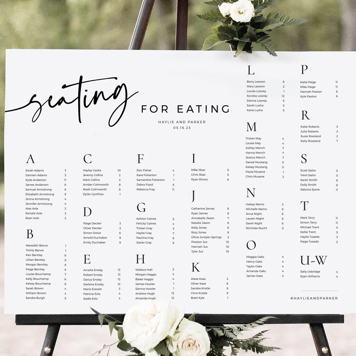 Wedding Seating Chart - Digital Download, Haylie