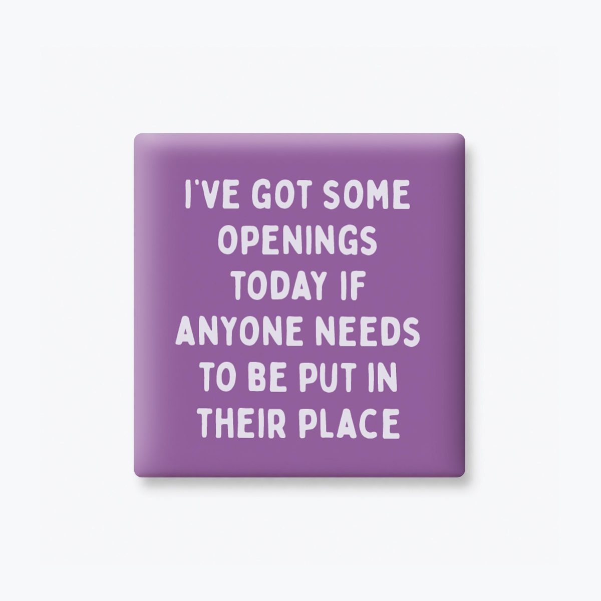 Put in Their Place Magnet